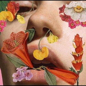 Meet your Posher, Ariel